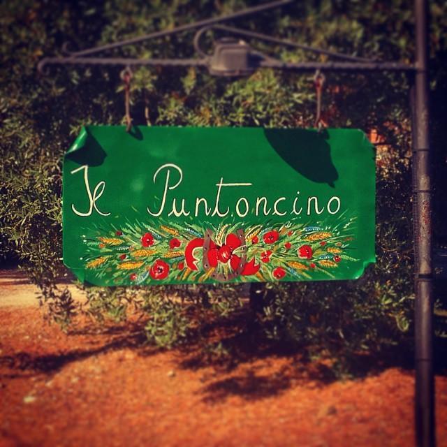 Agriturismo Il Puntoncino Marsiliana Exterior photo